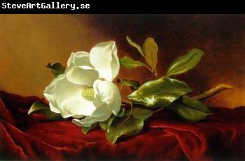 unknow artist Still life floral, all kinds of reality flowers oil painting 06